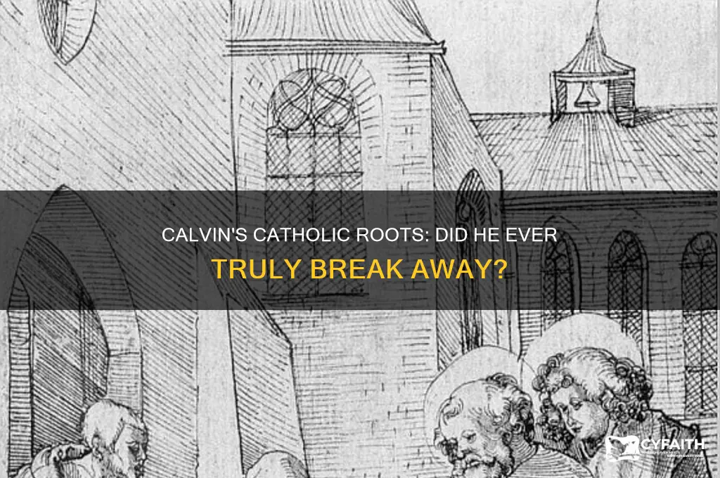 did calvin remain a catholic