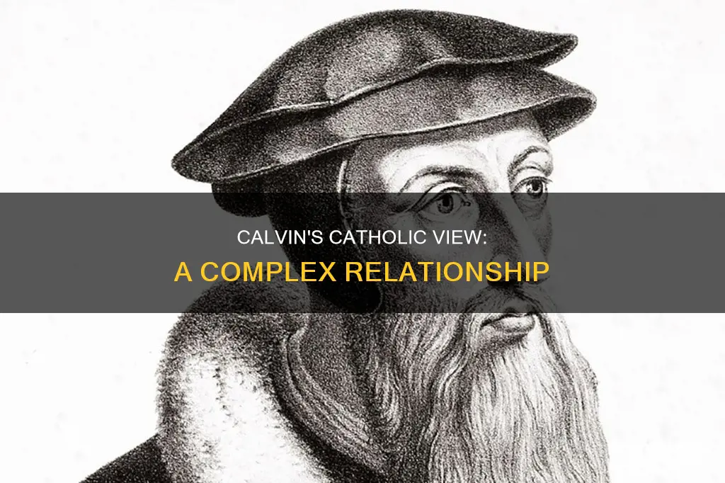 did calvin see himself as catholic