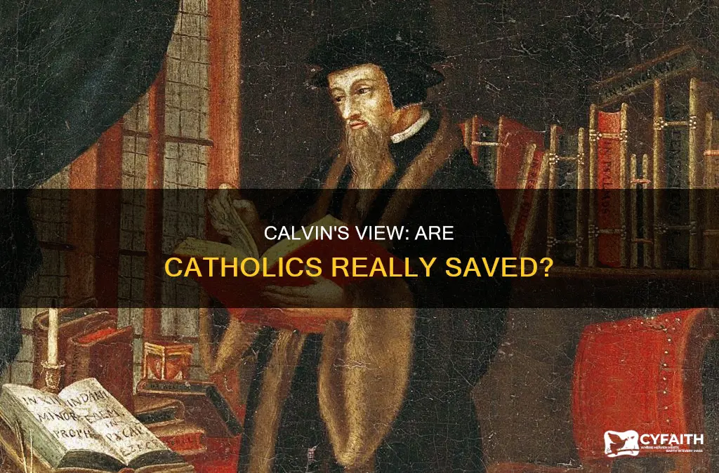 did calvin think catholics were saved