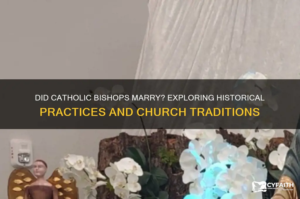 did catholic bishops get married