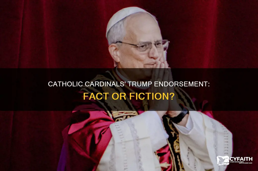 did catholic cardinals tell people to vote for trump