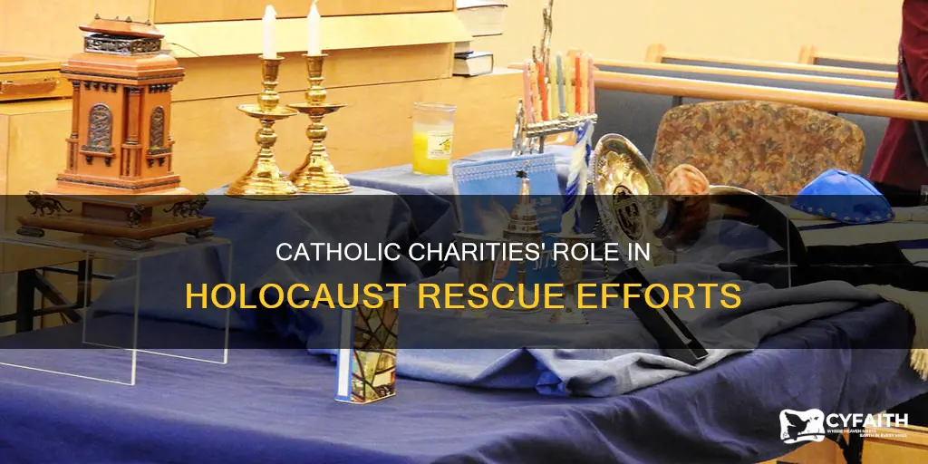 did catholic charities help with holocaust