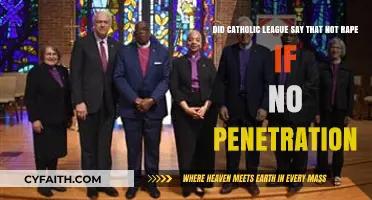Catholic League's Controversial Rape Definition: No Penetration, No Rape?