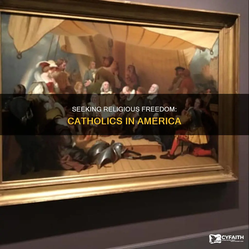 did catholics come to america seeking religious freedom