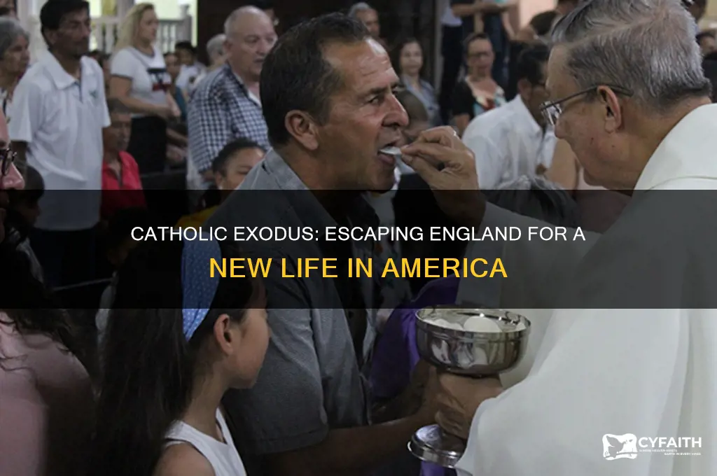 did catholics escape england and go to united states