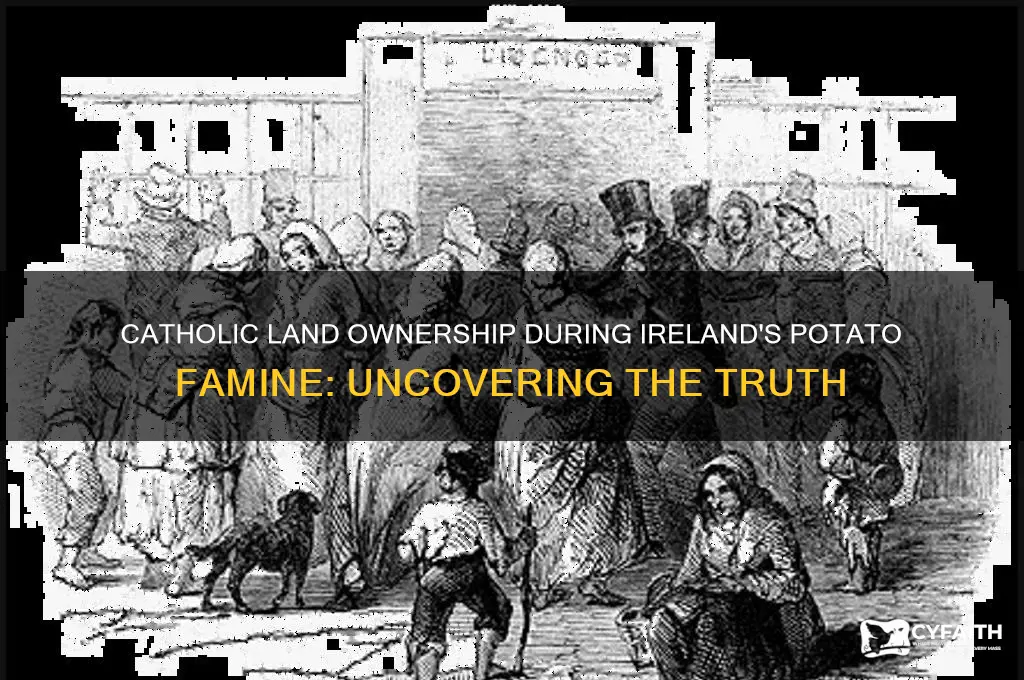 did catholics own the land of the irish potaoo famine