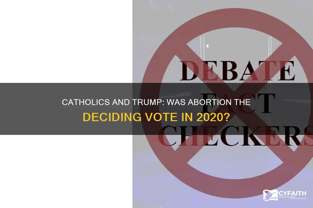 did catholics vote trump just because of abortion issue