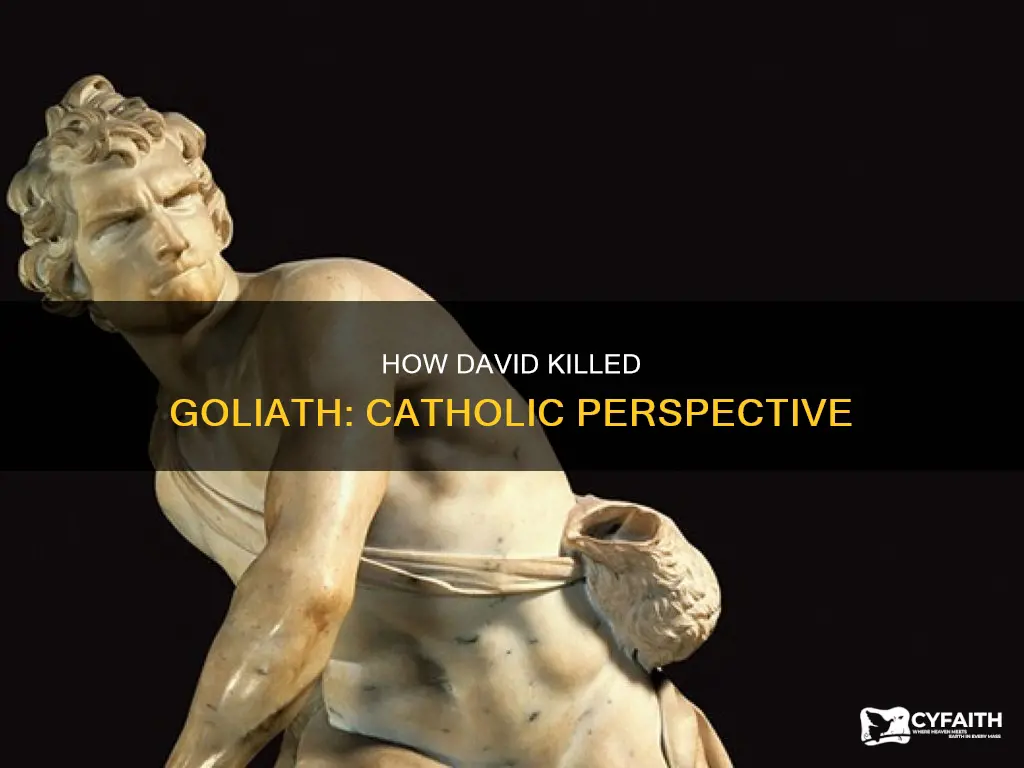did david kill goliath catholic answer