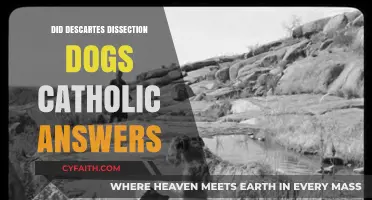 The Catholic Church and Descartes' Dog Dissections