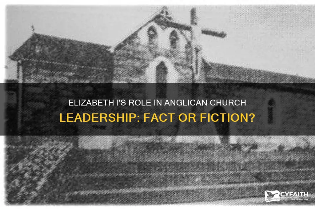 did elizabeth i remove the head of the anglican church