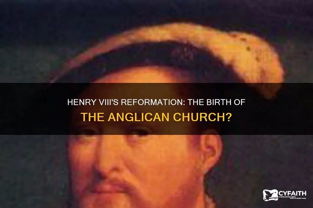did henry viii create the anglican church