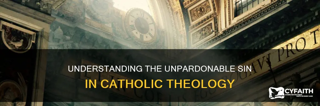 did i commit the unpardonable sin catholic