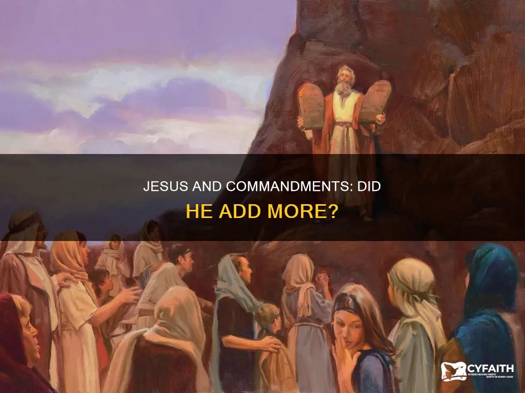 did jesus add a commandment catholic answers