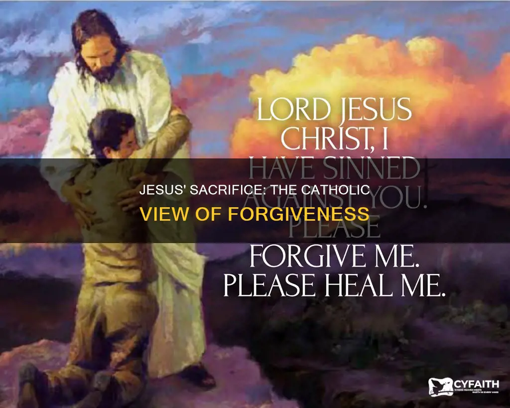 did jesus buy us forgiveness catholic