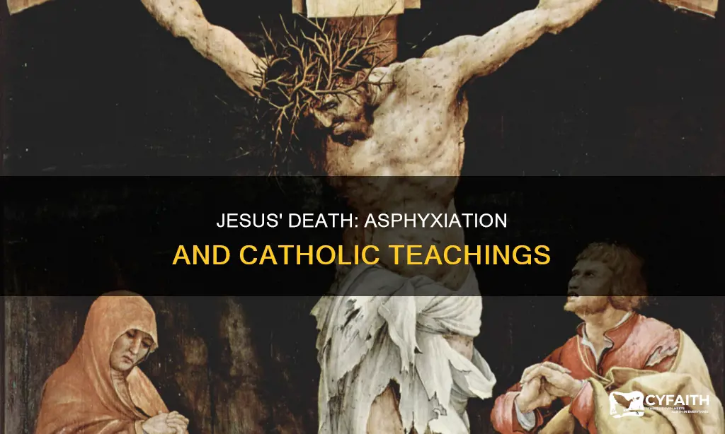 did jesus die of asphyxiation catholic