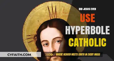 Jesus' Use of Hyperbole: A Catholic Perspective