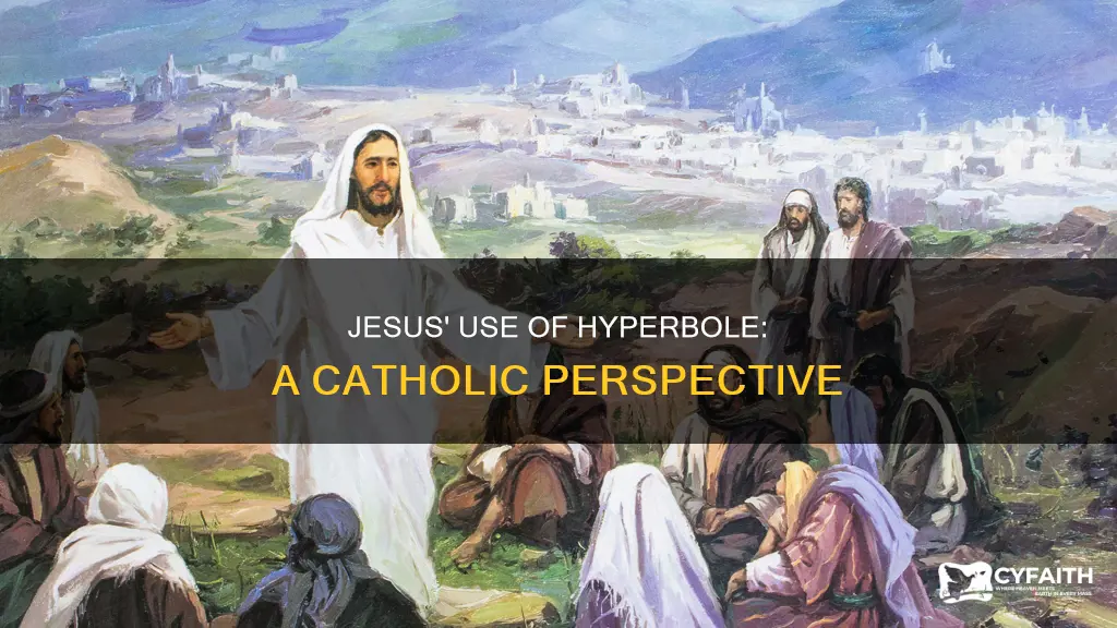 did jesus ever use hyperbole catholic