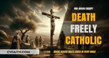 Jesus' Sacrifice: A Catholic Perspective