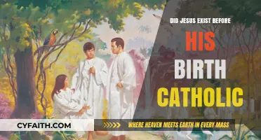 Jesus' Existence Before Birth: A Catholic Perspective