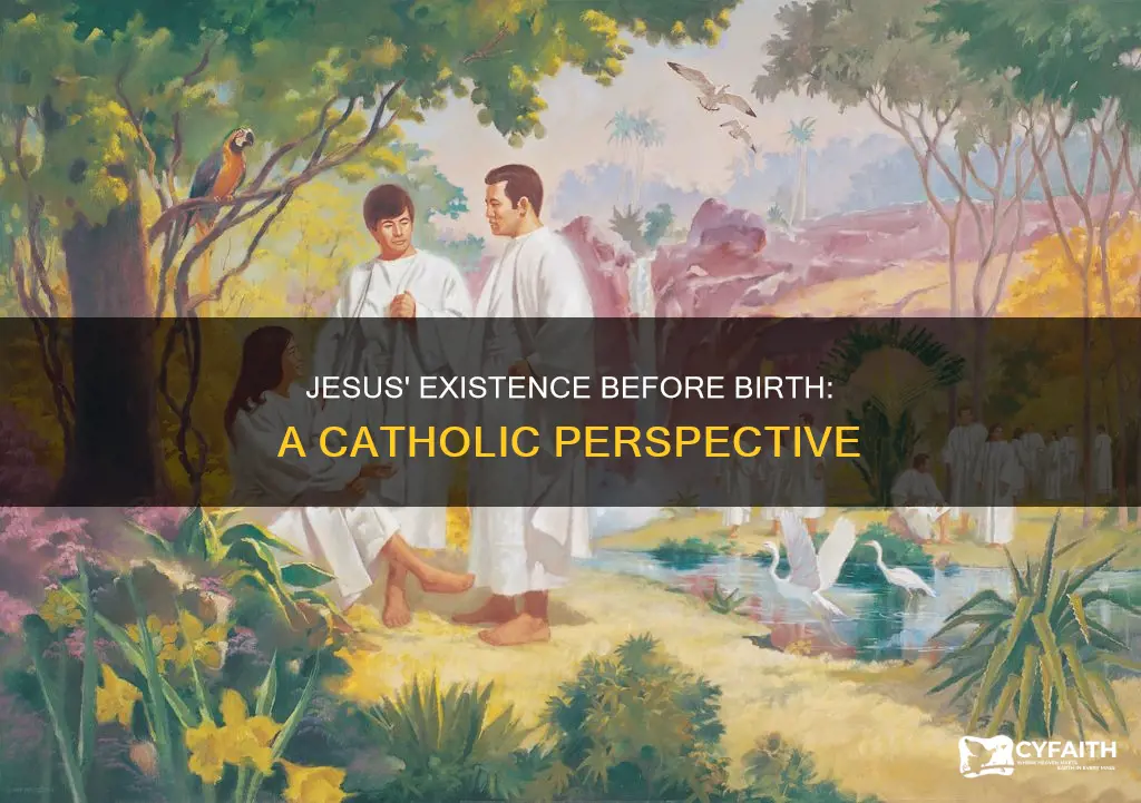 did jesus exist before his birth catholic