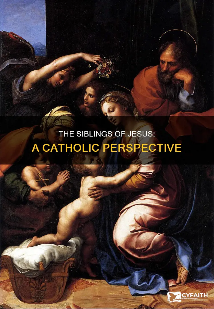 did jesus have a brother catholic