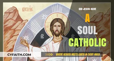 Jesus' Soul: A Catholic Perspective