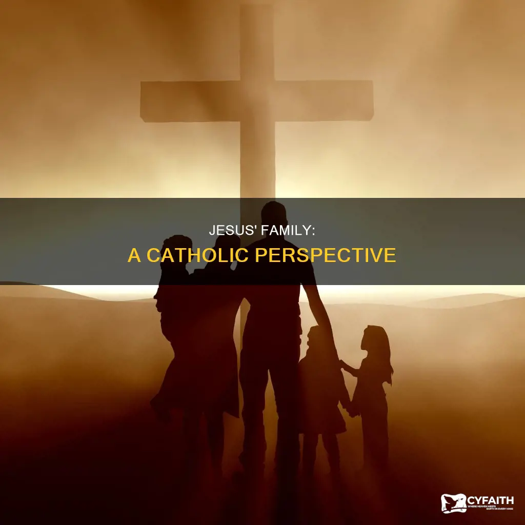 did jesus have brothers and sisters catholic view