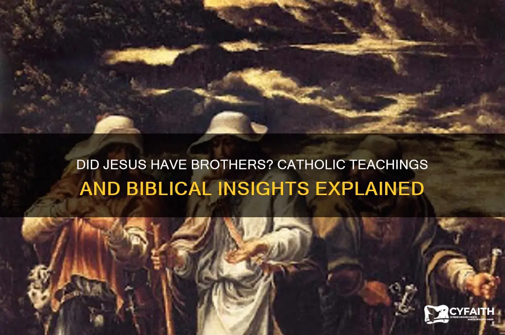 did jesus have brothers catholic