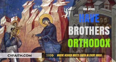 Orthodox Perspective: Did Jesus Have Brothers? Exploring the Biblical Truth