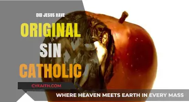 Jesus and Original Sin: Catholic Perspective