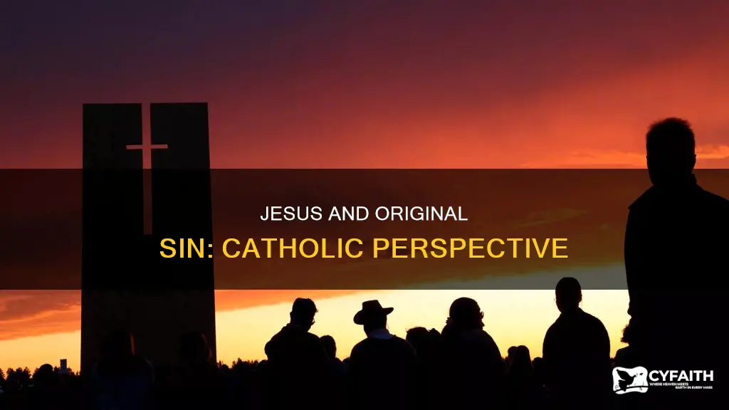 did jesus have original sin catholic