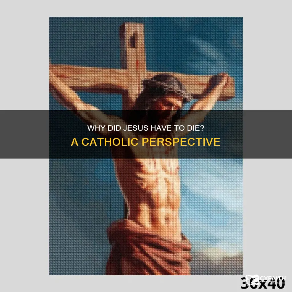did jesus have to die catholic