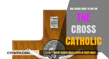 Why Did Jesus Die on the Cross in Catholic Theology?