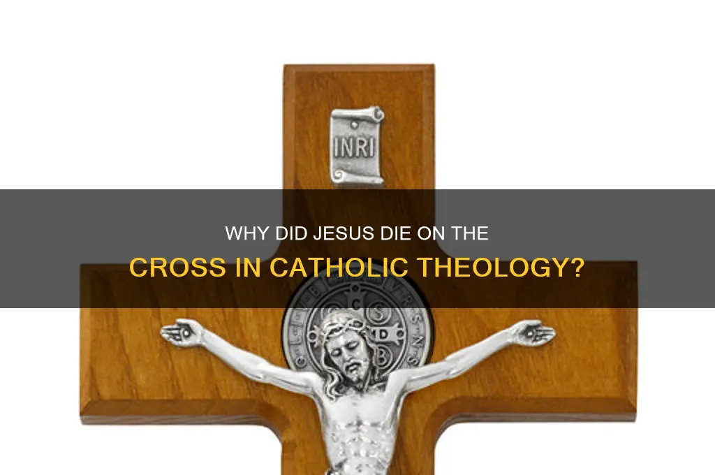 did jesus have to die on the cross catholic