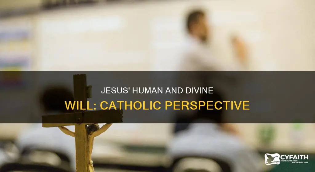 did jesus have two wills catholic