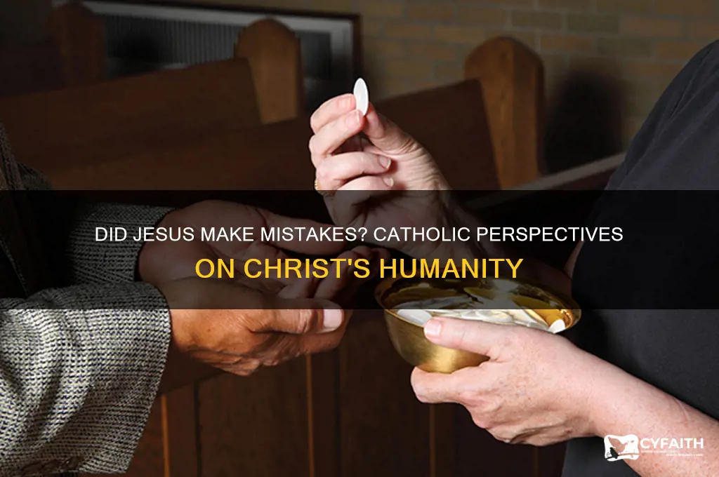 did jesus make mistakes catholic