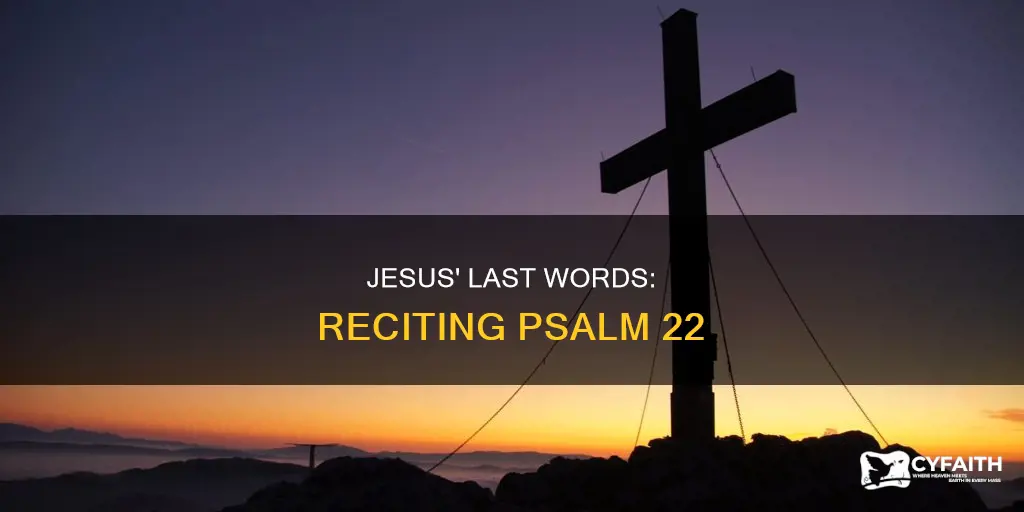 did jesus recite psalm 22 catholic