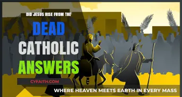 Jesus' Resurrection: Catholic Answers and Evidence