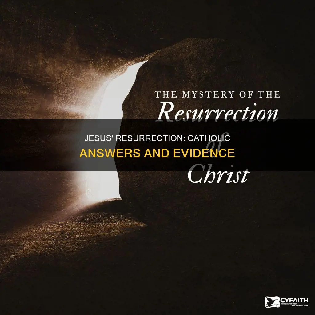 did jesus rise from the dead catholic answers