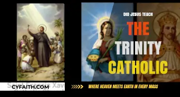 Jesus and the Trinity: Catholic Teachings