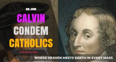 John Calvin's Stance: Condemnation of Catholics in Reformation Theology