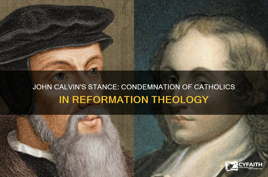 did john calvin condem catholics