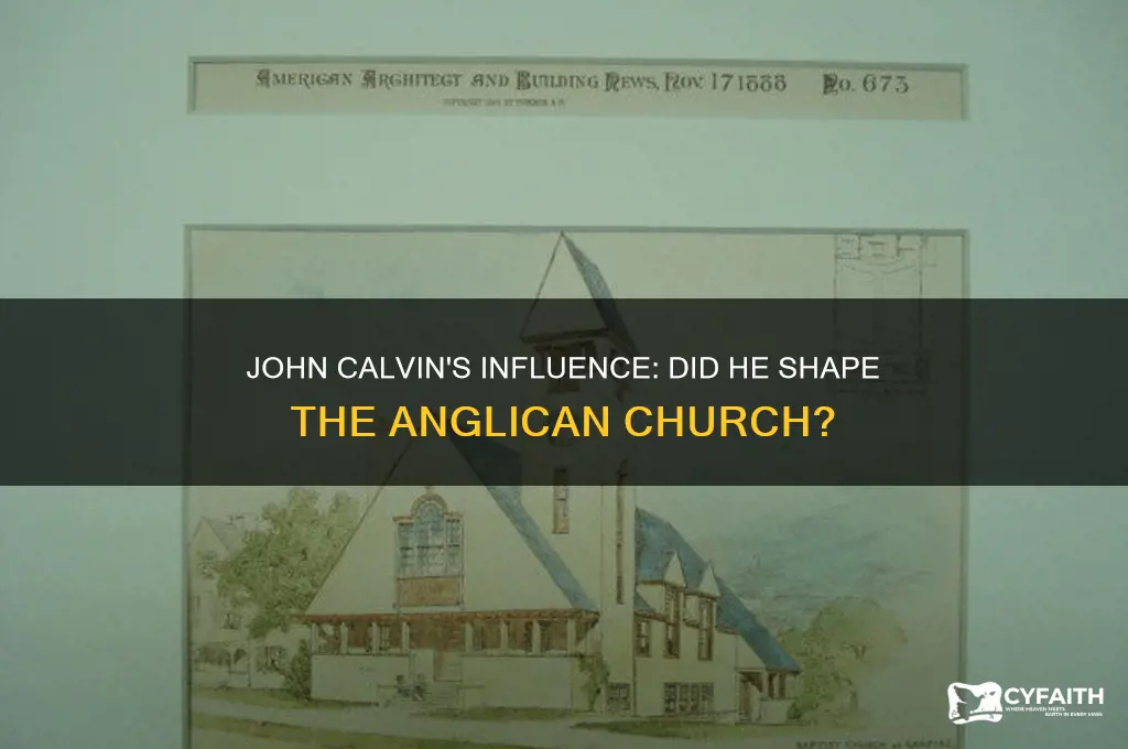 did john calvin established the anglican church
