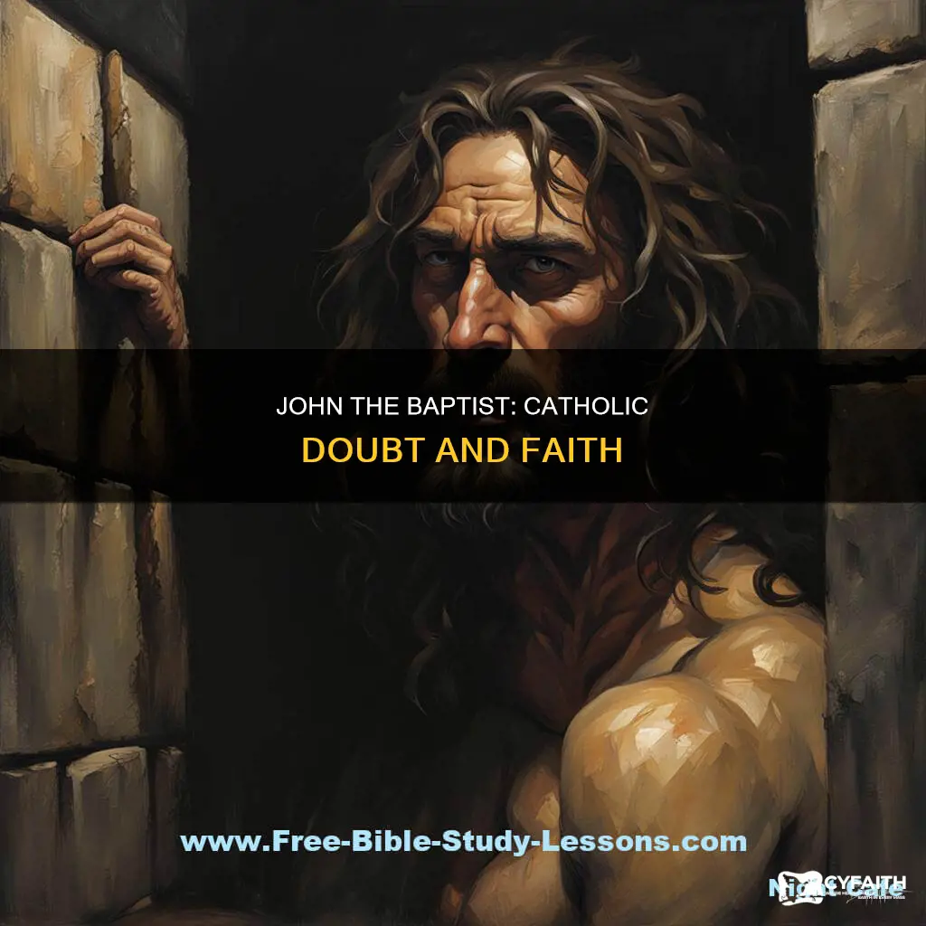 did john the baptist doubt catholic