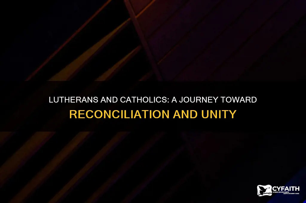did lutherans and catholics reconcile