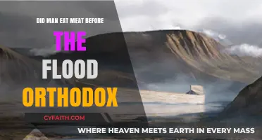 Orthodox Views: Did Humans Consume Meat Before the Flood?