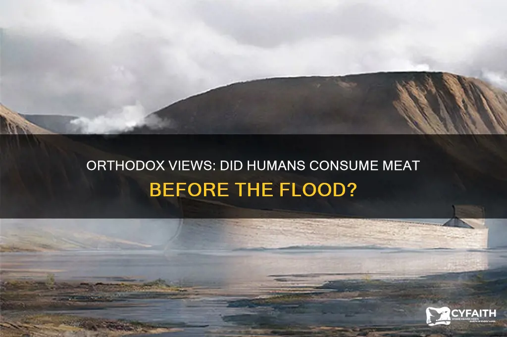 did man eat meat before the flood orthodox