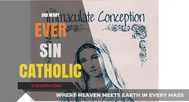 Mary's Sinlessness: Catholic Teachings on the Immaculate Conception Explored