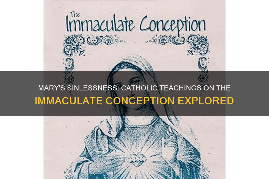 did mary ever sin catholic