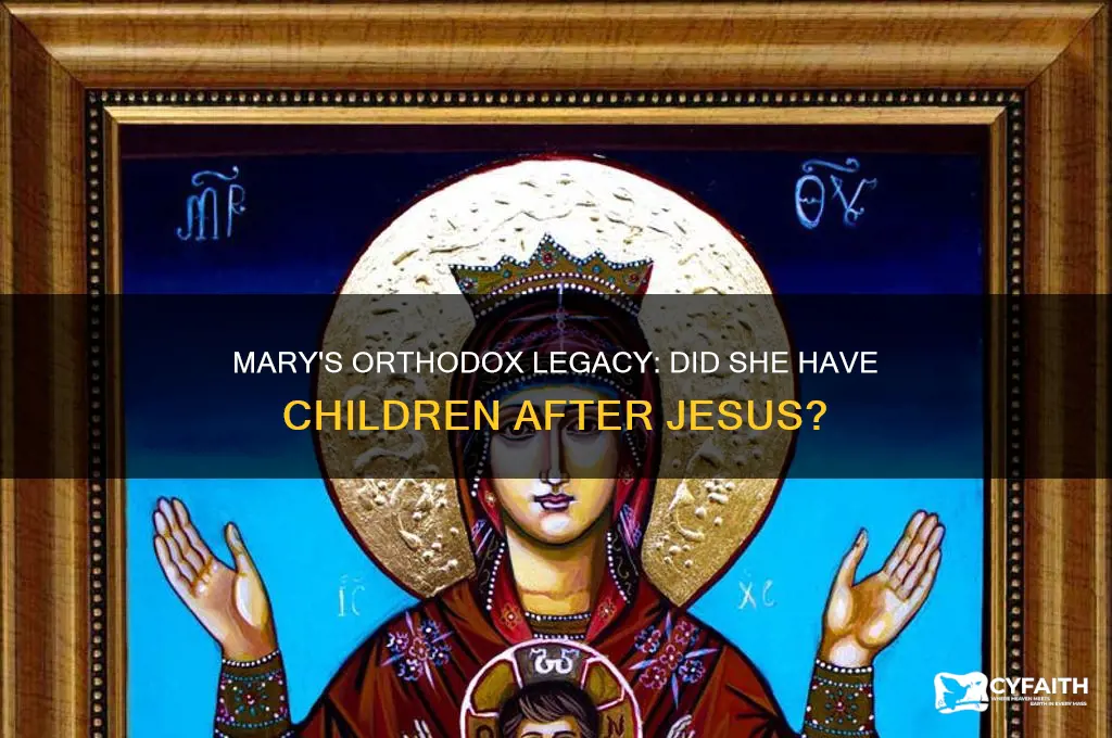did mary have children orthodox